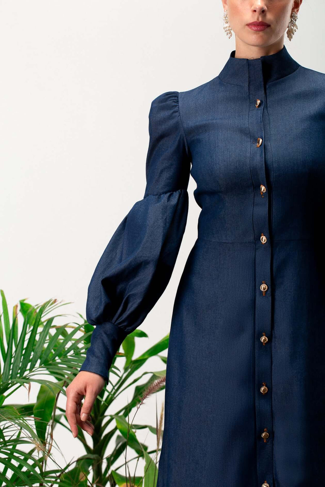 Aveline long sleeves maxi dress